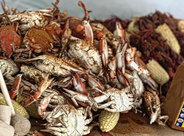 Steamed Maryland blue crabs and crawfish with corn on the cob